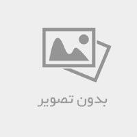 منتظرالمهدی۳۱۳